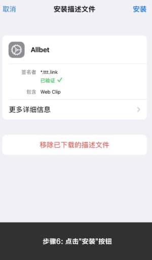 欧博iOS版APP下载与安装流程示意图6