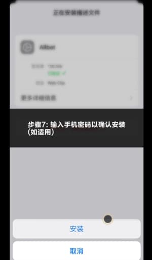 欧博iOS版APP下载与安装流程示意图7
